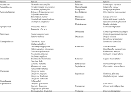 Image result for Sorindeia juglandifolia