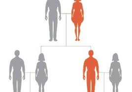 Gli eredi sono tenuti, da un lato, ad avvisare la banca mediante un atto notorio (o dichiarazione sostitutiva ai sensi del d.p.r. Dichiarazione Sostitutiva Atto Di Notorieta Eredi Senza Testamento Privati