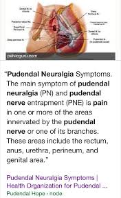 Pin On Pudendal Nerve