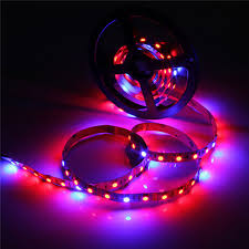 5m Waterproof Led Light Strips Flexible Tiktok Lights Ip65 5050 4 Red 1 Blue Full Spectrum Led Grow Light 300leds Led Strip Lamps For Plants Growing Aquarium Lighting 1pc 4923681 2020 16 94