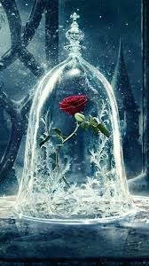 Pin By Hamide Tas On Duskapani In 2020 Beast Wallpaper Disney Wallpaper Disney Princess Wallpaper