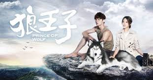 Chu kui this was the one drama that even though did not have the best ending i still liked it. Prince Of Wolf Wikipedia