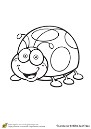 Pin By Renee Girouard On Livre De Couleur Insect Coloring Pages Coloring Pages Coloring Pictures