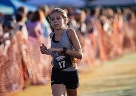 The Fort Myers, Naples Sports Awards 2021 All-RegionGirls Cross Country Team