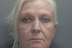 Southport cat rescuer back