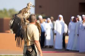 كلباء للطيور الجارحة يبدأ موسم العروض شبكة عيون الفجيرة