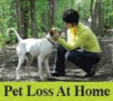 If people hold strong emotional bonds people can find themselves overwhelmed. Rate Review A Pet Loss At Home Concord Manchester Area Southern Nh In Home Hospice Euthanasia Reviews On In Home Pet Euthanasia