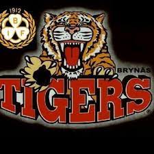 Tyger tyger, burning bright, in the forests of the night; Mikael Oster Mikaelster Twitter