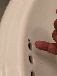 We did not find results for: These Tiny Slow Reacting And Slow Flying Black Bugs Come Out Of Our Bathroom Sink Overflow Drain In Nyc Usually One Or Two At A Time What Are They And How Do