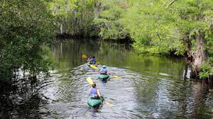 Indian key historic state park is an island within the florida state park system, located just a few hundred yards southeast of u.s. Dagny Johnson Key Largo Hammock Botanical State Park Florida State Parks