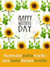 Our superior quality sunflowers from the best growers in the philippines will be arranged with care in our. Happy Mothers Day Sunflowers