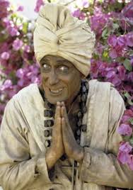 Robert Donner Movies & TV Shows List