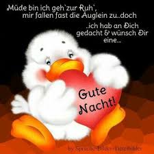 Gute Nacht Gute Nacht Gute Nacht Lustig Gute Nacht Bilder