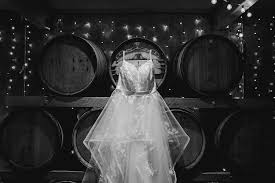 Image result for Bridelia duvigneaudii