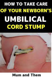 Pin On For Pregnant Moms