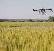 Change the Way You Farm with a Crop Seeding Drone-topxgunag.com