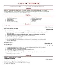 Most simple executives are in charge of a small group of people at the least. Sales Cv Templates Cv Samples Examples