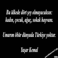 Bu Ulkede Dort Sey Olmayacaksin Kadin Cocuk Agac Sokak Hayvani Umarim Obur Dunyada Turkiye Yoktur Y Ilham Verici Sozler Ilham Veren Alintilar Ozlu Sozler