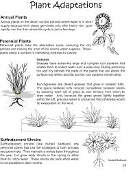 Desert Plant Adaptations Google Search Plant Adaptations Annual Plants Perennial Plants