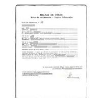 Traduction acte de naissance - traduction assermentée