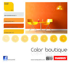 Harris Color Boutique Color Golden Sun Painting