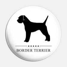 The slate shade is more striking as the white, black, or blue coat color is diluted. Border Terrier Black Silhouette Border Terrier Pin Teepublic