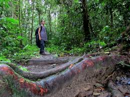Taman negara gunung mulu yang terletak di sebelah utara negeri sarawak, merupakan salah satu daripada destinasi pelancongan yang terkenal di malaysia, khasnya di sarawak. Gunung Mulu National Park