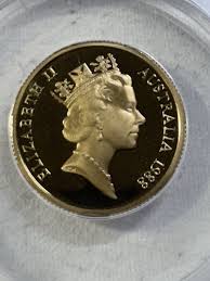 Image result for Brown 1988 Fleet