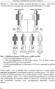 Chloridového kanálu v membráně buněk. Vera Vavrova Jana Bartosova A Kolektiv Cf Centra Fn Motol Prirucka Pro Nemocne A Jejich Rodice 2 Doplnene Vydani Professional Publishing Pdf Stazeni Zdarma