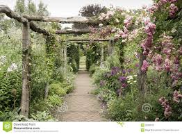 afbeeldingen pergola in tuin roze rozen op een pergola stock foto s afbeelding 32999313 pergola tuin achtertuin
