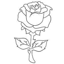These beautiful flowers will look even prettier if the kids get here's a pretty rose colouring page for the children to colour in. Top 25 Free Printable Beautiful Rose Coloring Pages For Kids