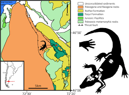 Maybe you would like to learn more about one of these? New Transitional Fossil From Late Jurassic Of Chile Sheds Light On The Origin Of Modern Crocodiles Scientific Reports