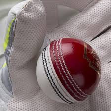 Crest Special Cricket Ball Gray Nicolls Free Shipping Loyalty Points