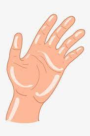 Left Hand Five Fingers Stretched Out Gesture Left Hand Gesture Five Fingers Stretched Out Png Transparent Clipart Image And Psd File For Free Download Hand Clipart Hand Pictures Clip Art