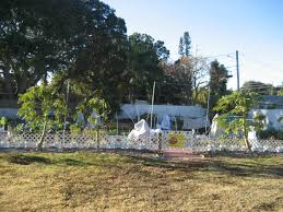 We did not find results for: Yes There Is Fall Gardening In Florida St Pete Fl Patch