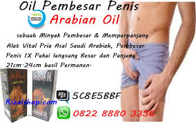 Hasil gambar untuk pembesar alat vital terbaik