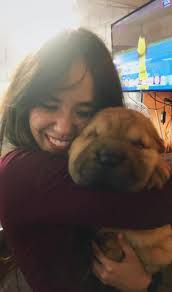 Coping with loss of a pet?