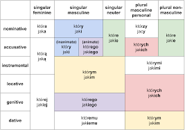 They give us more information about the subject or object of the sentence. Polish Interrogative Relative Pronouns Number Gender Case Clozemaster Blog