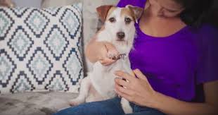 Pin On Dog Nail Clipper Gadgets