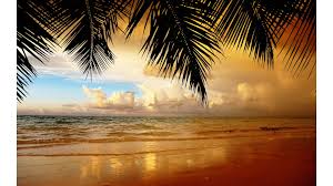 We have an extensive collection of amazing background images carefully chosen by our community. Overlooking The Sunset Beach 4k Wallpaper Free 4k Wallpaper Beach Sunset Wallpaper Beach Wallpaper Sunset Wallpaper