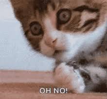 No no no 4182 gifs. Oh No Gifs Tenor