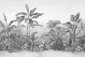 Tropical Rainforest Drawing Art Wallpaper Mural Art Wallpaper Art Drawings Art