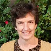 Chicago Section American Chemical Society