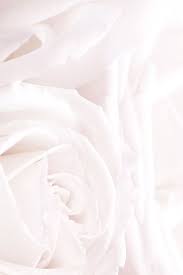 Did you know that the color white aids in mental clarity, encourages us to clear clutter or obstacles, evokes purification of thoughts or actions, and enables fresh beginnings? Pin On Wallpaper
