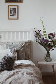 Nehmen pflanzen im schlafzimmer den sauerstoff weg? Heute Mal Freshflowerframstag Freshflower Couch