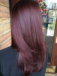 Mahogany Violet Hue Haircolor Done By Me Mahogany Hair Hair Color Burgundy Hair Color Mahogany