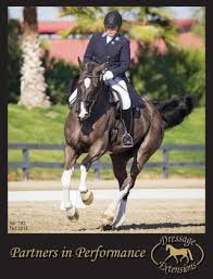 Dressage Extensions Catalog 162 By Dressage Extensions Issuu