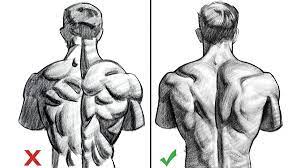 Use your back muscles to draw the weight up to touch your chest while keeping your elbows tucked in close to. Muscular Back Drawing Reference Novocom Top