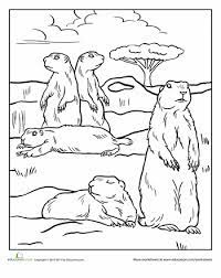 You might also be interested in coloring pages from ground squirrel, prairie dogcategories. Prairie Dog Coloring Pages 25