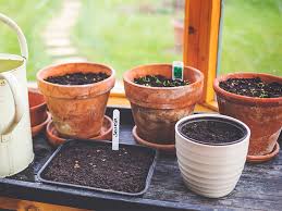 To begin the process, open the compost bin's inventory screen. A Beginner S Guide To Composting